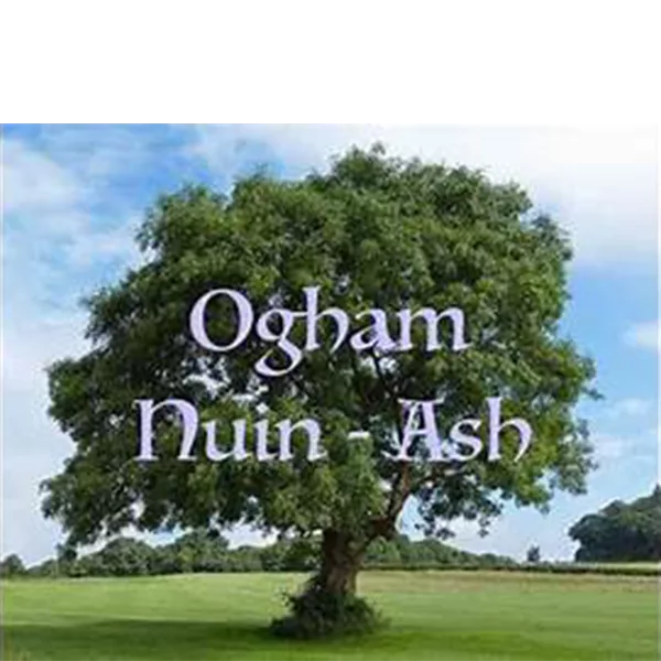 Programme NUINN